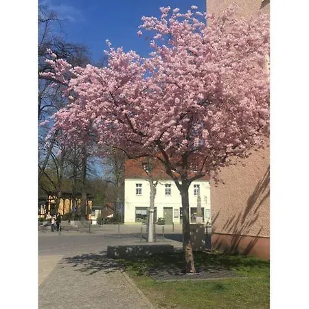 2 People Apartment Lubben